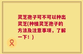 灵芝孢子可不可以种出灵芝(种植灵芝孢子的方法及注意事项，了解一下！)