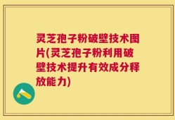 灵芝孢子粉破壁技术图片(灵芝孢子粉利用破壁技术提升有效成分释放能力)