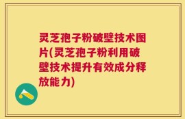 灵芝孢子粉破壁技术图片(灵芝孢子粉利用破壁技术提升有效成分释放能力)