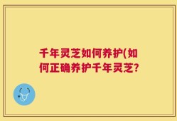 千年灵芝如何养护(如何正确养护千年灵芝？