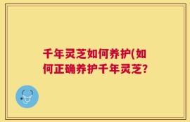 千年灵芝如何养护(如何正确养护千年灵芝？