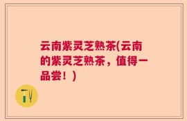 云南紫灵芝熟茶(云南的紫灵芝熟茶，值得一品尝！)