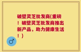 破壁灵芝批发商(重磅！破壁灵芝批发商推出新产品，助力健康生活！)