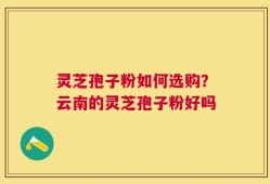 灵芝孢子粉如何选购？云南的灵芝孢子粉好吗
