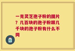 一克灵芝孢子粉的图片？几百块的孢子粉跟几千块的孢子粉有什么不同