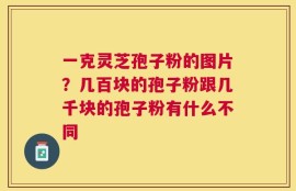 一克灵芝孢子粉的图片？几百块的孢子粉跟几千块的孢子粉有什么不同