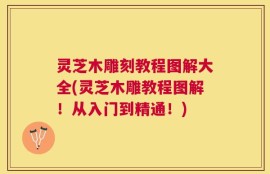 灵芝木雕刻教程图解大全(灵芝木雕教程图解！从入门到精通！)