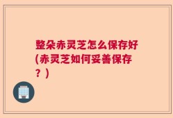 整朵赤灵芝怎么保存好(赤灵芝如何妥善保存？)