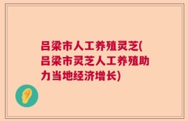 吕梁市人工养殖灵芝(吕梁市灵芝人工养殖助力当地经济增长)