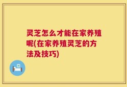 灵芝怎么才能在家养殖呢(在家养殖灵芝的方法及技巧)