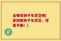 去哪采到千年灵芝呢(采到稀有千年灵芝，惊喜不断！)