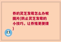 养的灵芝发霉怎么办呢图片(防止灵芝发霉的小技巧，让养殖更便捷)