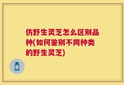 仿野生灵芝怎么区别品种(如何鉴别不同种类的野生灵芝)