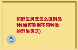 仿野生灵芝怎么区别品种(如何鉴别不同种类的野生灵芝)
