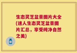 生态灵芝盆景图片大全(迷人生态灵芝盆景图片汇总，享受纯净自然之美)