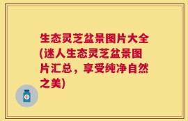 生态灵芝盆景图片大全(迷人生态灵芝盆景图片汇总，享受纯净自然之美)