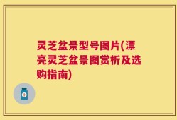 灵芝盆景型号图片(漂亮灵芝盆景图赏析及选购指南)