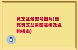 灵芝盆景型号图片(漂亮灵芝盆景图赏析及选购指南)