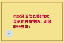肉水灵芝怎么养(肉水灵芝的种植技巧，让你轻松养殖)