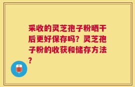 采收的灵芝孢子粉晒干后更好保存吗？灵芝孢子粉的收获和储存方法？