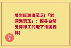 层岩巨渊海灵芝(「岩洞海灵芝」：探寻自然鬼斧神工的地下法国森林)