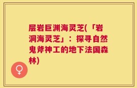 层岩巨渊海灵芝(「岩洞海灵芝」：探寻自然鬼斧神工的地下法国森林)