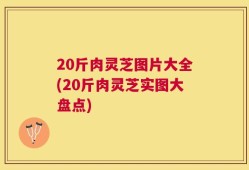 20斤肉灵芝图片大全(20斤肉灵芝实图大盘点)