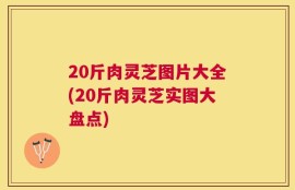 20斤肉灵芝图片大全(20斤肉灵芝实图大盘点)