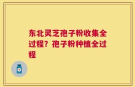 东北灵芝孢子粉收集全过程？孢子粉种植全过程