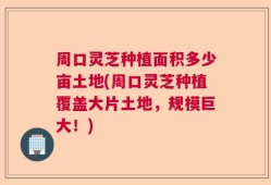 周口灵芝种植面积多少亩土地(周口灵芝种植覆盖大片土地，规模巨大！)