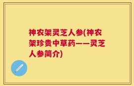 神农架灵芝人参(神农架珍贵中草药——灵芝人参简介)