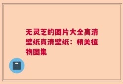 无灵芝的图片大全高清壁纸高清壁纸：精美植物图集