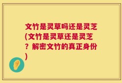 文竹是灵草吗还是灵芝(文竹是灵草还是灵芝？解密文竹的真正身份)