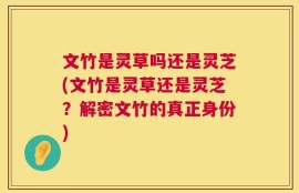 文竹是灵草吗还是灵芝(文竹是灵草还是灵芝？解密文竹的真正身份)