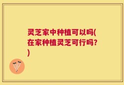 灵芝家中种植可以吗(在家种植灵芝可行吗？)