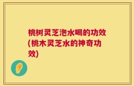 桃树灵芝泡水喝的功效(桃木灵芝水的神奇功效)