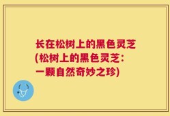 长在松树上的黑色灵芝(松树上的黑色灵芝：一颗自然奇妙之珍)