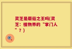 灵芝是蘑菇之王吗(灵芝：植物界的“掌门人”？)
