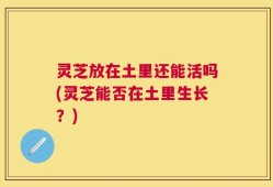 灵芝放在土里还能活吗(灵芝能否在土里生长？)