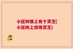 小区树根上有个灵芝(小区树上惊现灵芝)