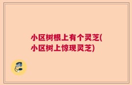 小区树根上有个灵芝(小区树上惊现灵芝)