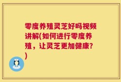 零度养殖灵芝好吗视频讲解(如何进行零度养殖，让灵芝更加健康？)