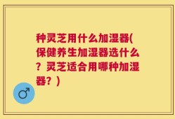 种灵芝用什么加湿器(保健养生加湿器选什么？灵芝适合用哪种加湿器？)