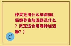 种灵芝用什么加湿器(保健养生加湿器选什么？灵芝适合用哪种加湿器？)