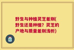 野生与种植灵芝差别(野生还是种植？灵芝的产地与质量差别浅析)