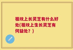 祖坟上长灵芝有什么好处(祖坟上生长灵芝有何益处？)