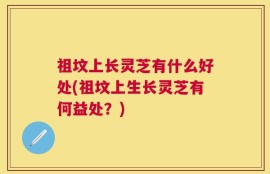 祖坟上长灵芝有什么好处(祖坟上生长灵芝有何益处？)