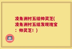 凌角洲村五组帅灵芝(凌角洲村五组发现瑰宝：帅灵芝！)