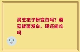 灵芝孢子粉变白吗？蘑菇背面发白、硬还能吃吗