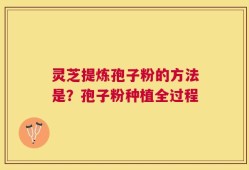 灵芝提炼孢子粉的方法是？孢子粉种植全过程